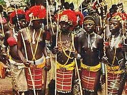 les bassaris
